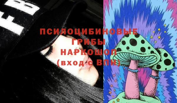 индика Беломорск
