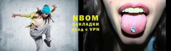 индика Беломорск