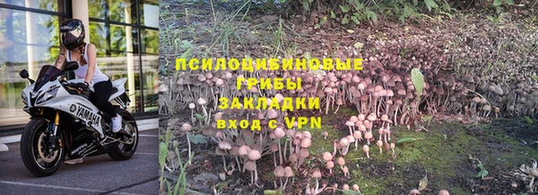 марки lsd Белоозёрский