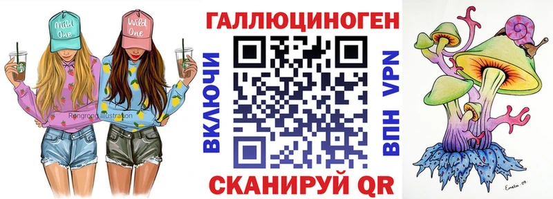 закладка  Свободный  Псилоцибиновые грибы мицелий 